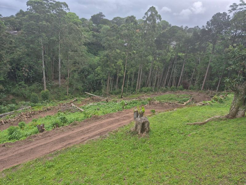 Calling all developers and buyers with vision. 8992m development Opportunity! - Photo 8