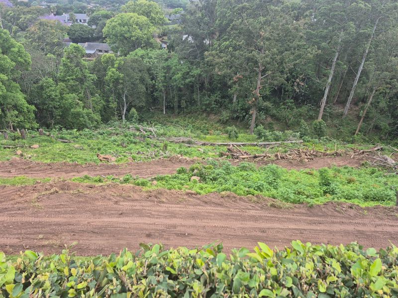 Calling all developers and buyers with vision. 8992m development Opportunity! - Photo 7