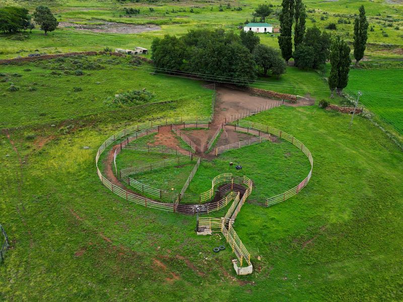 1 316 Ha in Lady Grey - Photo 2