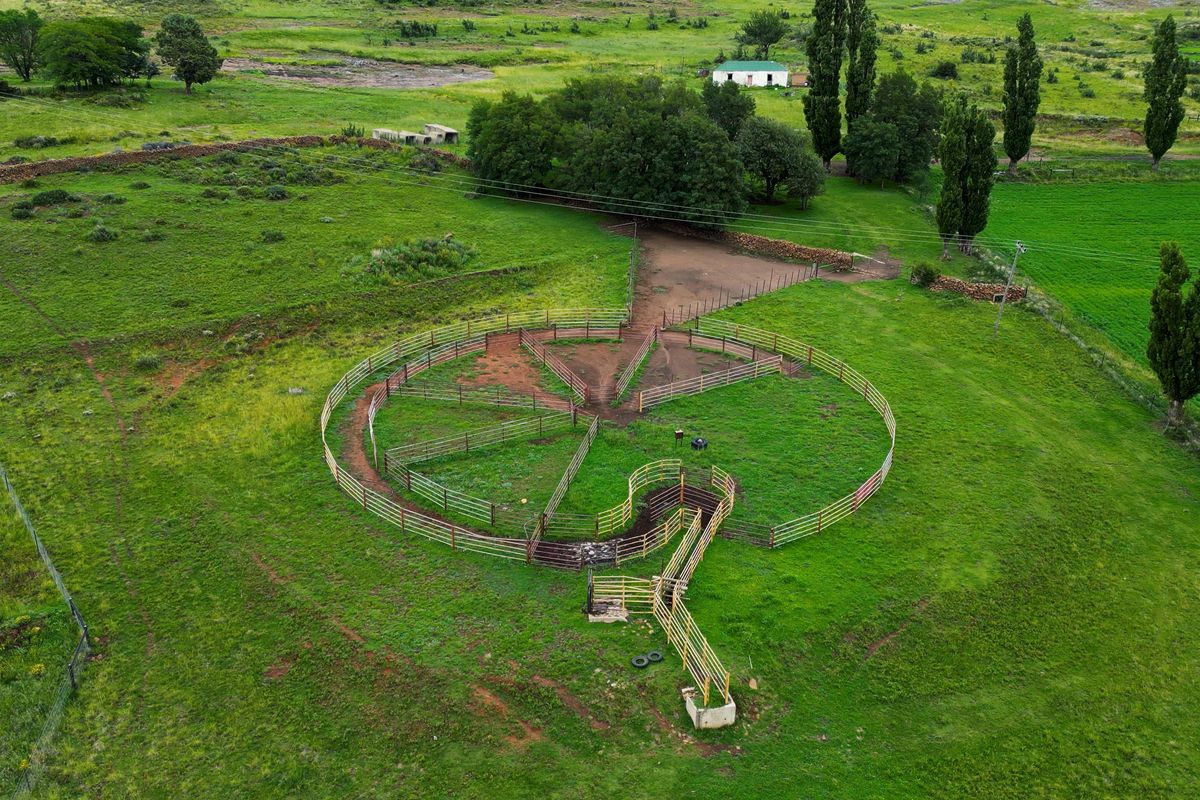 1 316 Ha in Lady Grey - Photo 2