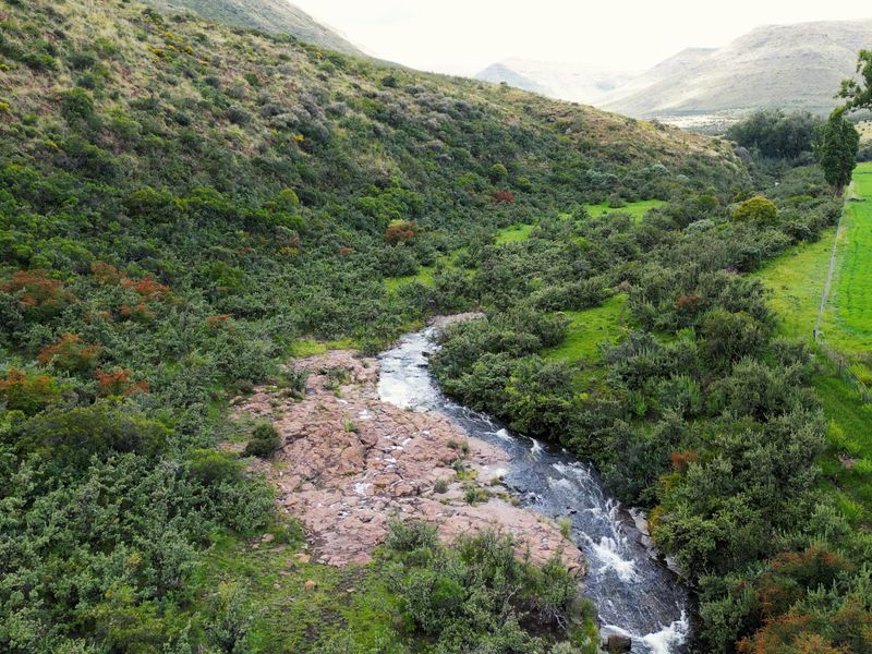 1 316 Ha in Lady Grey - Photo 3