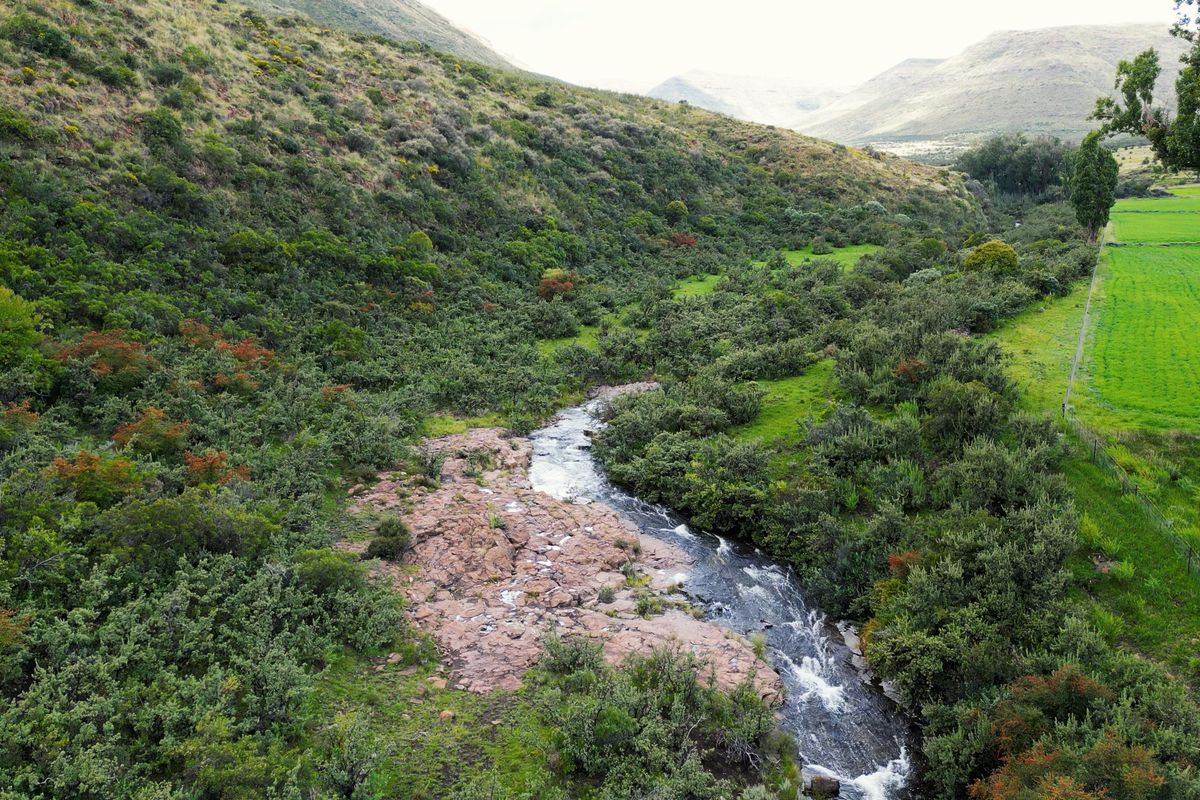 1 316 Ha in Lady Grey - Photo 3