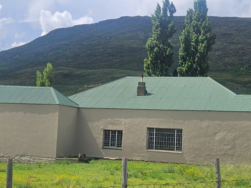 1 316 Ha in Lady Grey - Photo 10