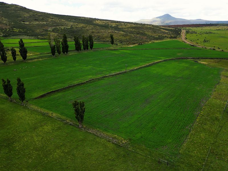 1 316 Ha in Lady Grey - Photo 9