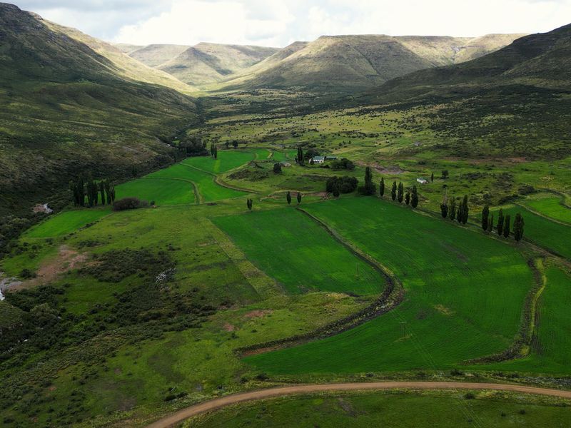 1 316 Ha in Lady Grey - Photo 8