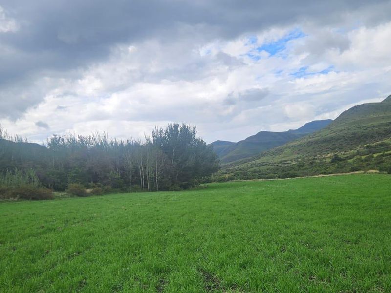 1 316 Ha in Lady Grey - Photo 7