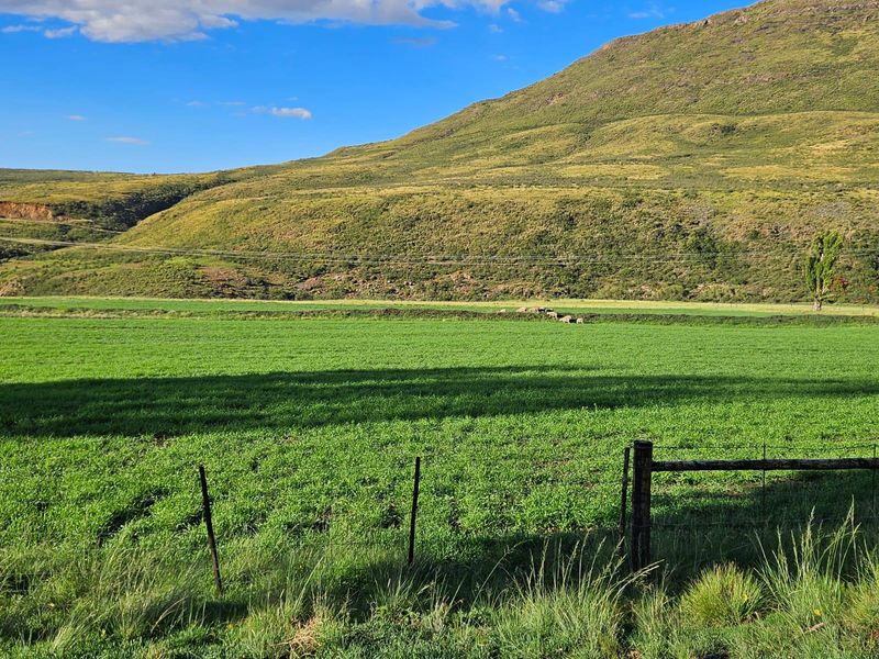 1 316 Ha in Lady Grey - Photo 5