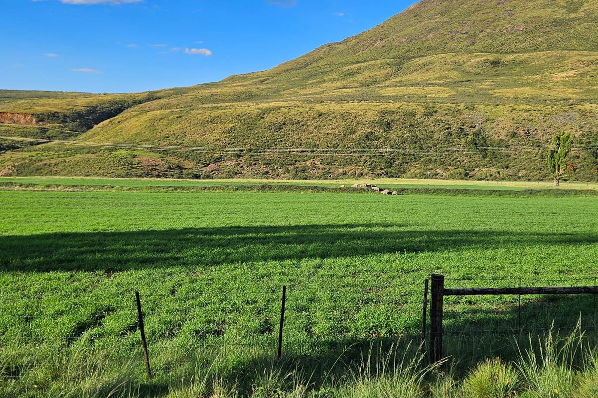 1 316 Ha in Lady Grey - Photo 5