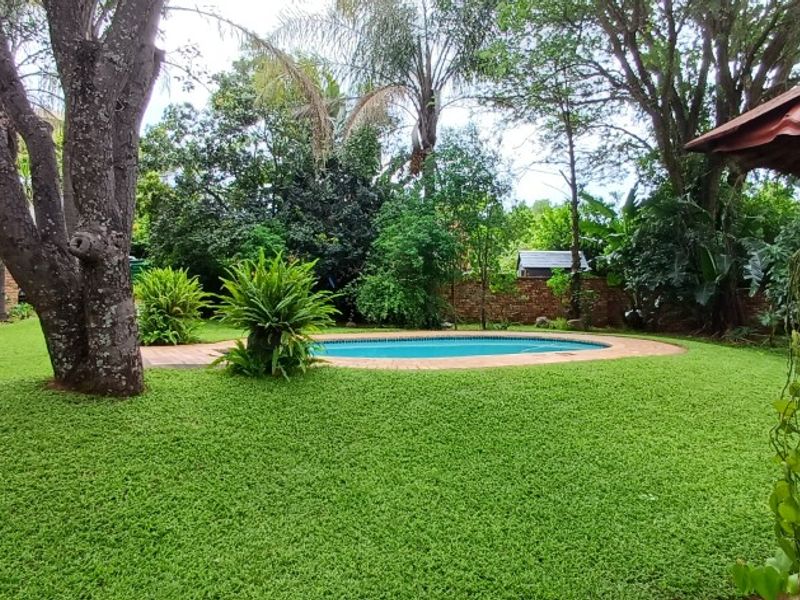 Spacious Family Home in Nylstroom / Modimolle. - Photo 8