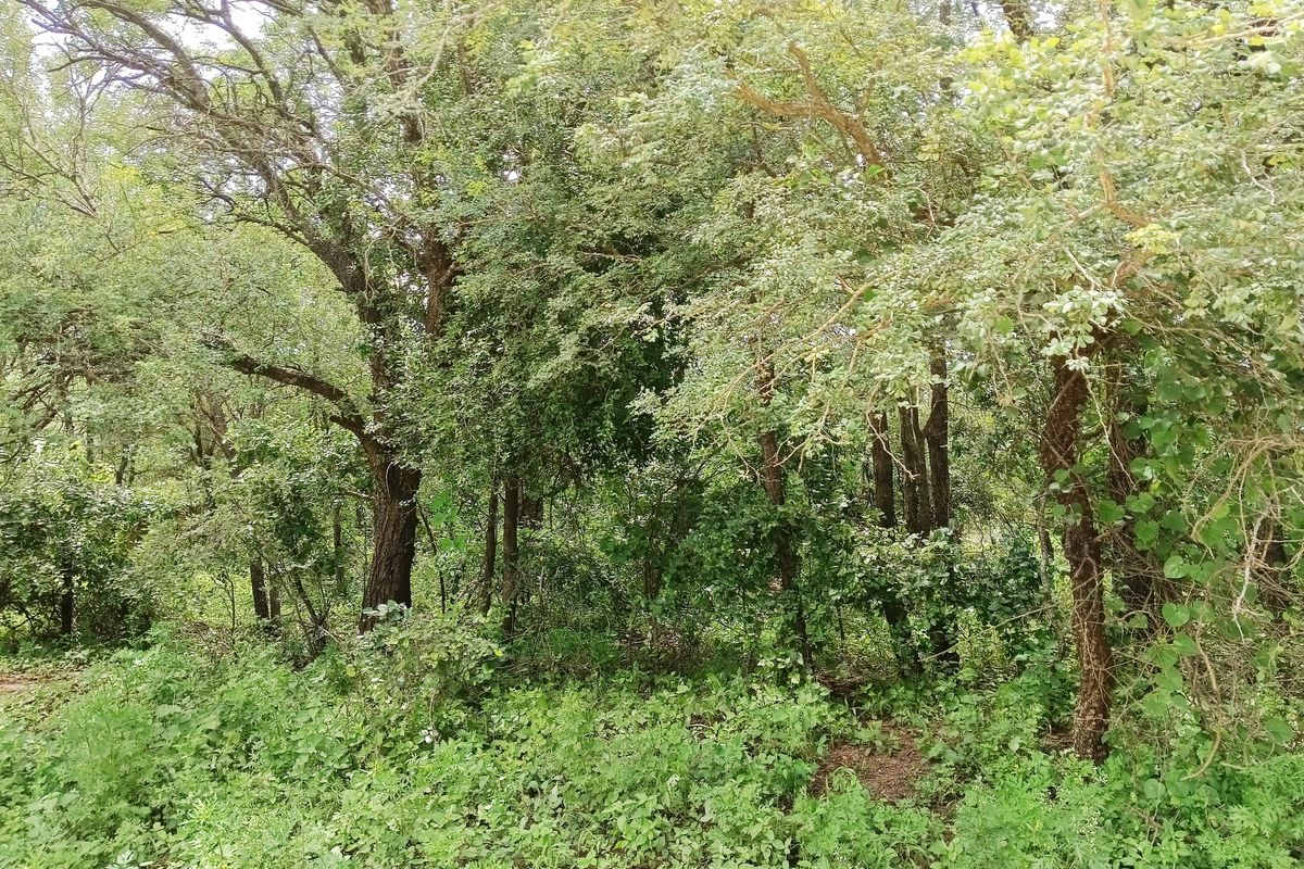 Its a start! - Photo 2