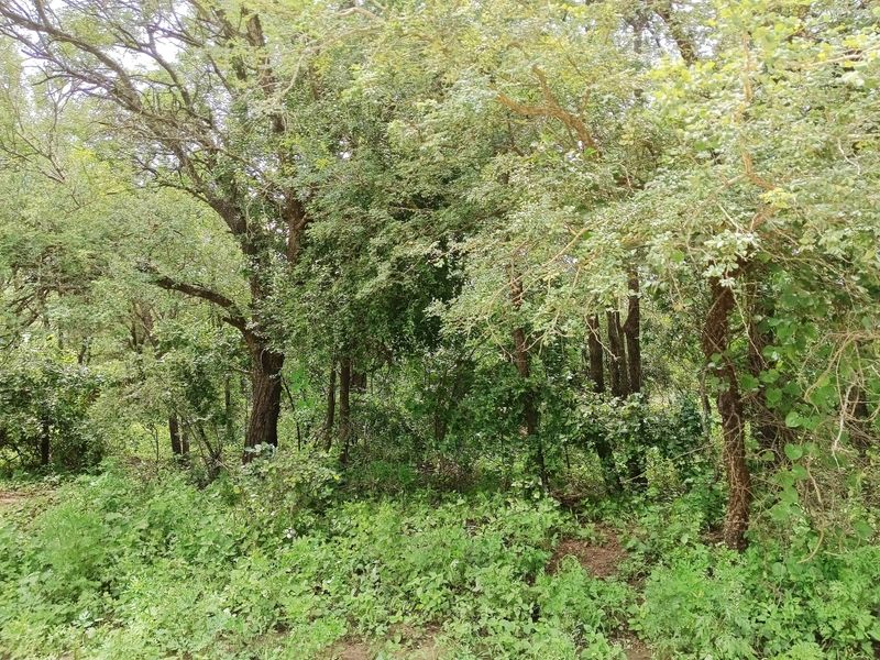 Its a start! - Photo 2