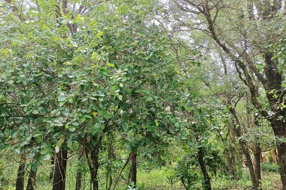 Its a start! - Photo 4