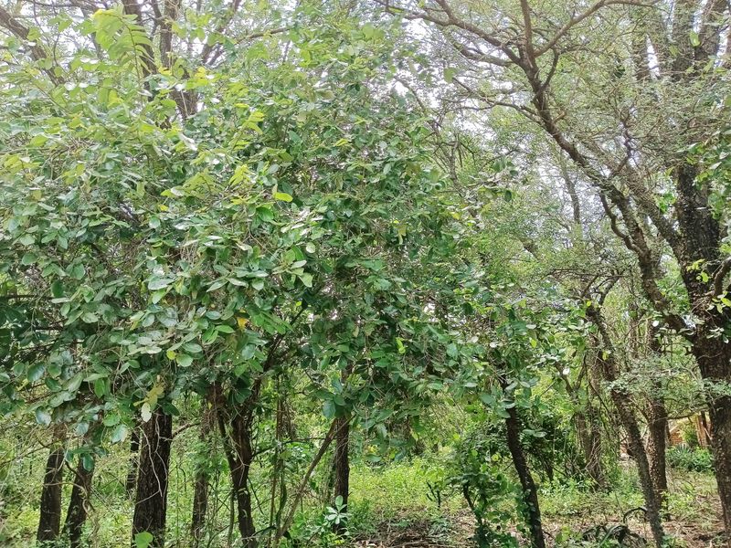 Its a start! - Photo 4