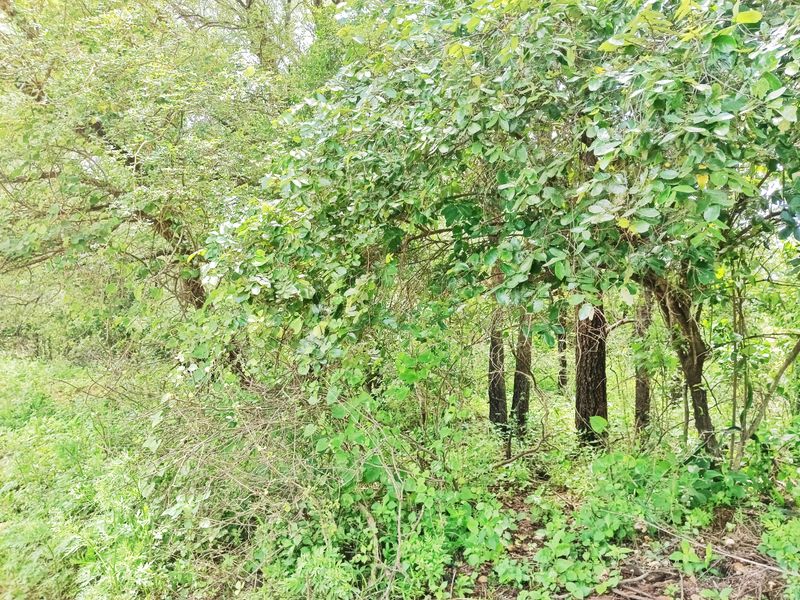 Its a start! - Photo 8