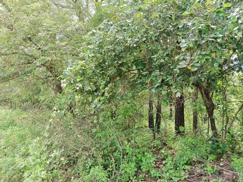 Its a start! - Photo 6