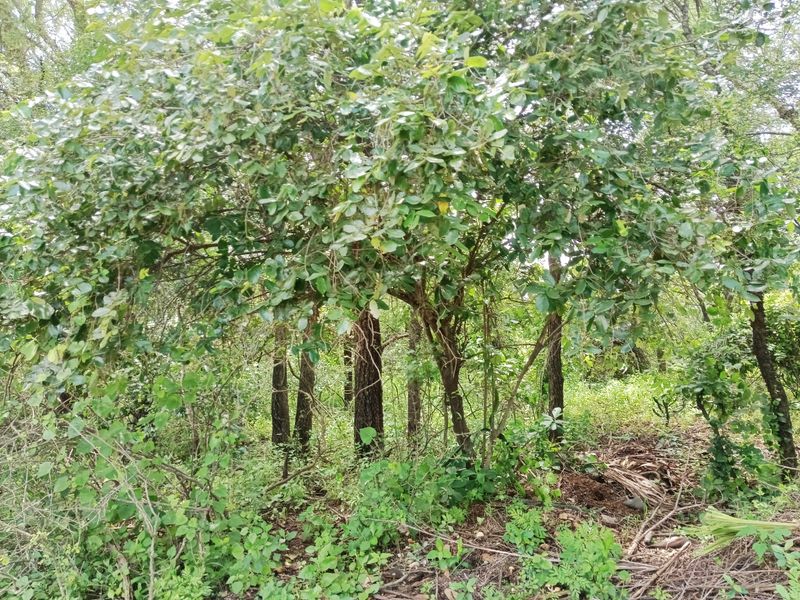 Its a start! - Photo 7