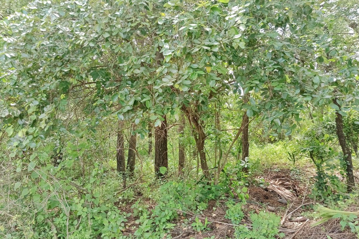 Its a start! - Photo 3