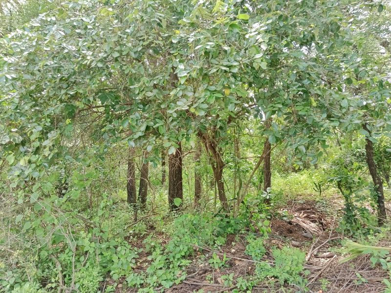 Its a start! - Photo 3