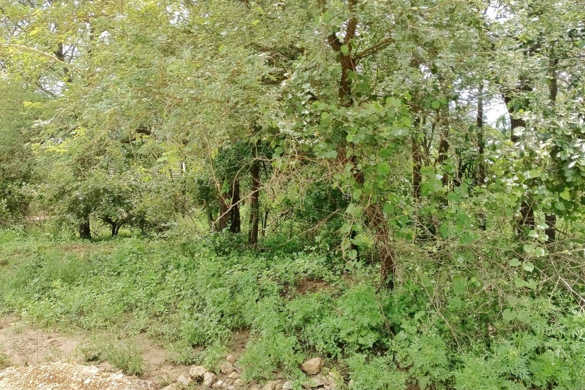 Its a start! - Photo 5