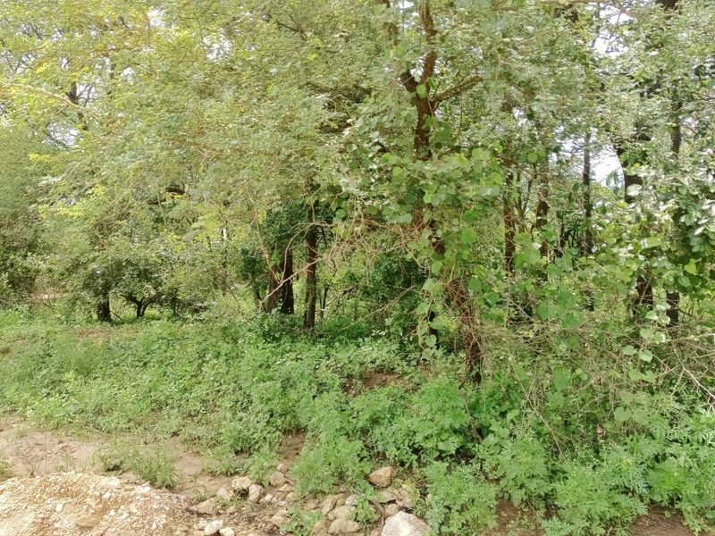 Its a start! - Photo 5