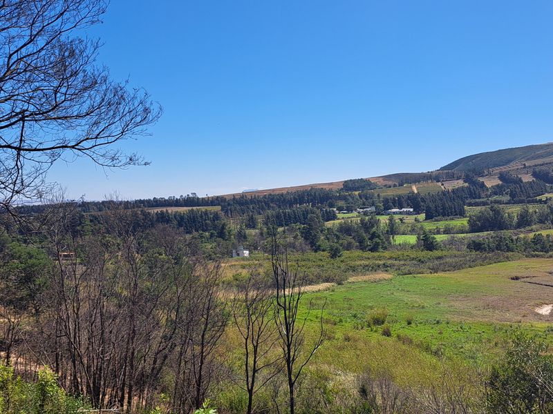 Expansive scenic view overlooking the farm landscape, featuring rolling hills, natural vegetation, and open fields under a clear blue sky.
