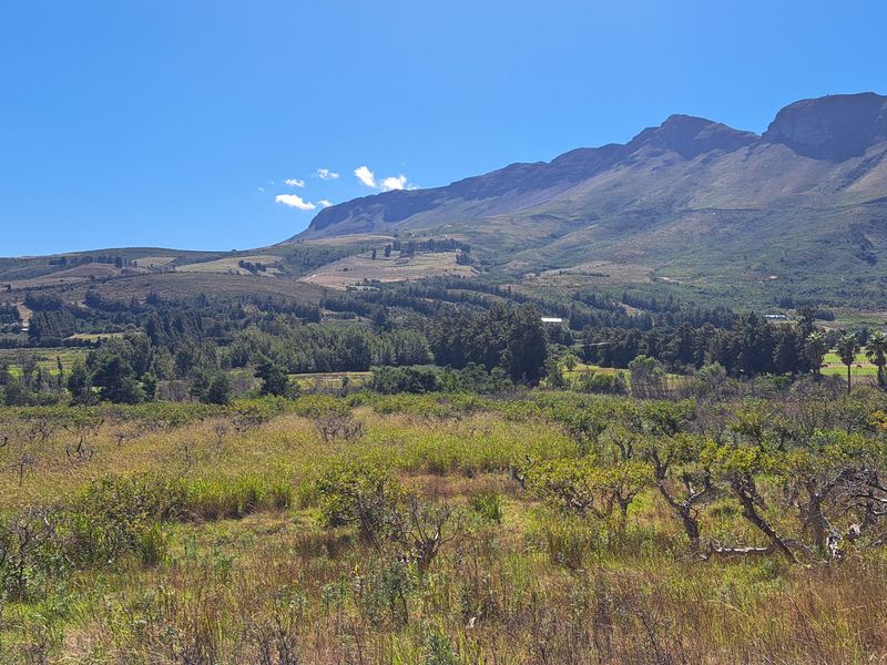 A scenic landscape view of the farm property featuring expansive open fields and orchards set against a backdrop of majestic mountains.