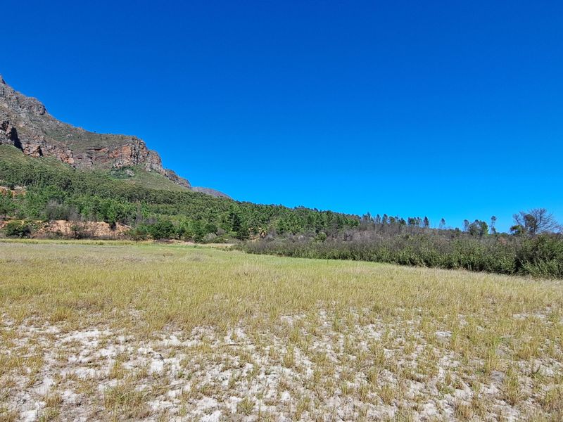Expansive open farm land featuring natural vegetation and scenic mountain views, offering a peaceful rural setting.