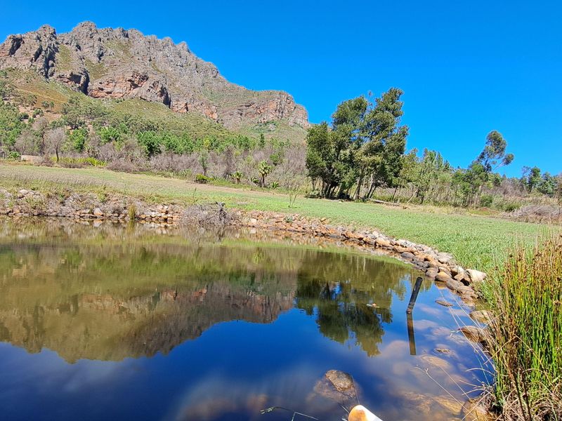 A scenic view of a farm landscape featuring a natural pond with stone edging, surrounded by lush greenery and dramatic mountain vistas.