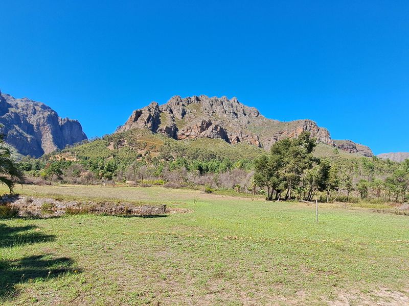 Expansive open farm land featuring a small pond, mature palm trees, and scenic mountain views under a clear blue sky.