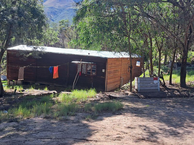 TAKE THE OPPORTUNITY - Photo 5