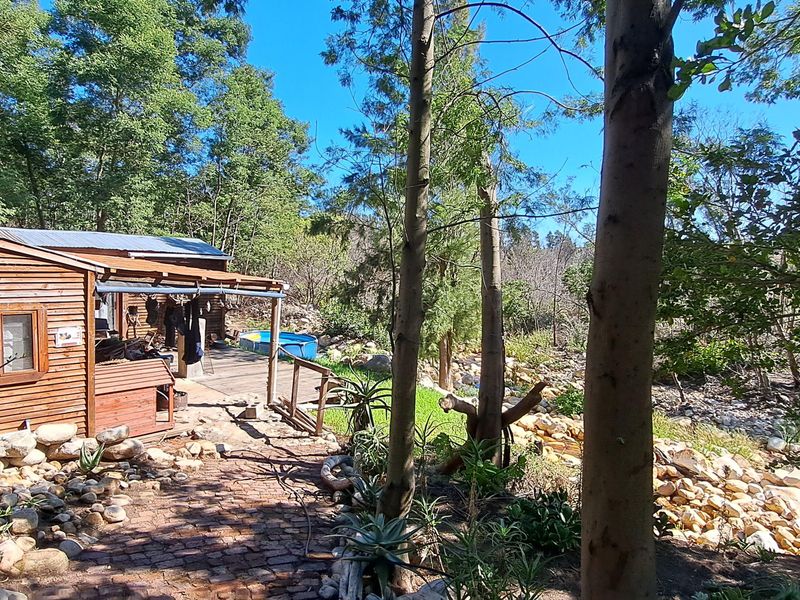 A rustic timber cabin set within a natural wooded landscape, featuring a wooden deck and a stone-paved pathway leading to the entrance.