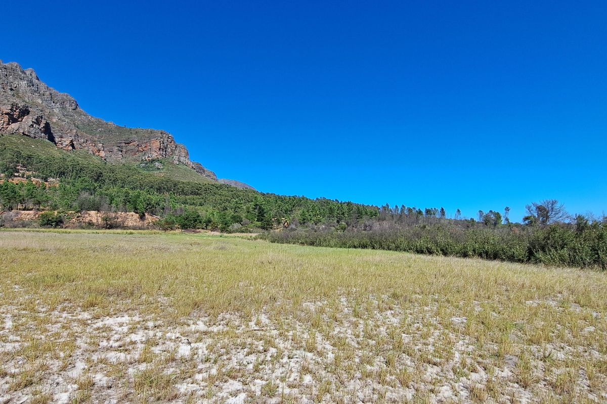 Expansive open farm land featuring natural vegetation and scenic mountain views, offering a peaceful rural setting.