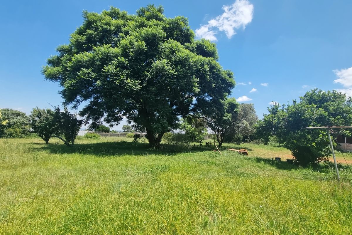 Koster - Ideal for Rental Expansion  -Growing Investment Opportunity - Photo 4