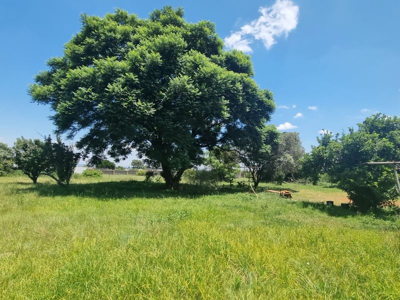 Koster - Growing Investment Opportunity – Ideal for Rental Expansion - Photo 2