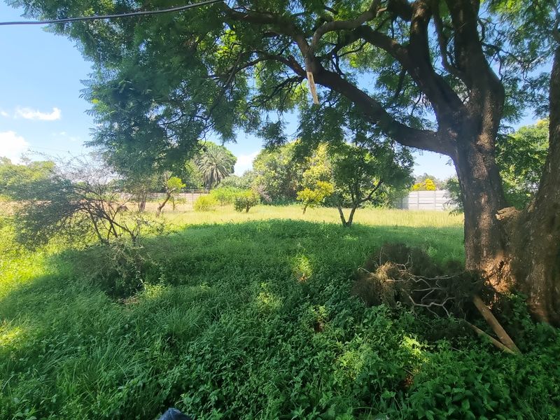 Koster - Growing Investment Opportunity – Ideal for Rental Expansion - Photo 8