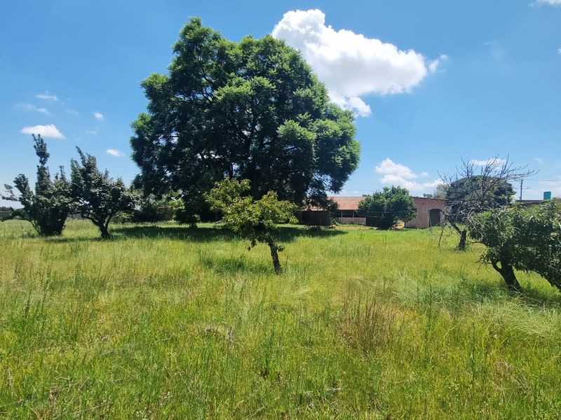 Koster - Growing Investment Opportunity – Ideal for Rental Expansion - Photo 9