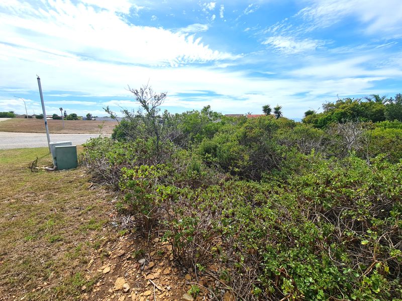 Well-priced Vacant Stand on a Kloof in Noorsekloof, Jeffreys Bay - Photo 10