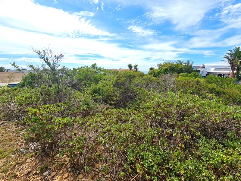 Well-priced Vacant Stand on a Kloof in Noorsekloof, Jeffreys Bay - Photo 9