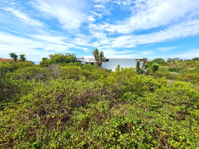 Well-priced Vacant Stand on a Kloof in Noorsekloof, Jeffreys Bay - Photo 7