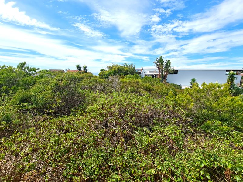 Well-priced Vacant Stand on a Kloof in Noorsekloof, Jeffreys Bay - Photo 8