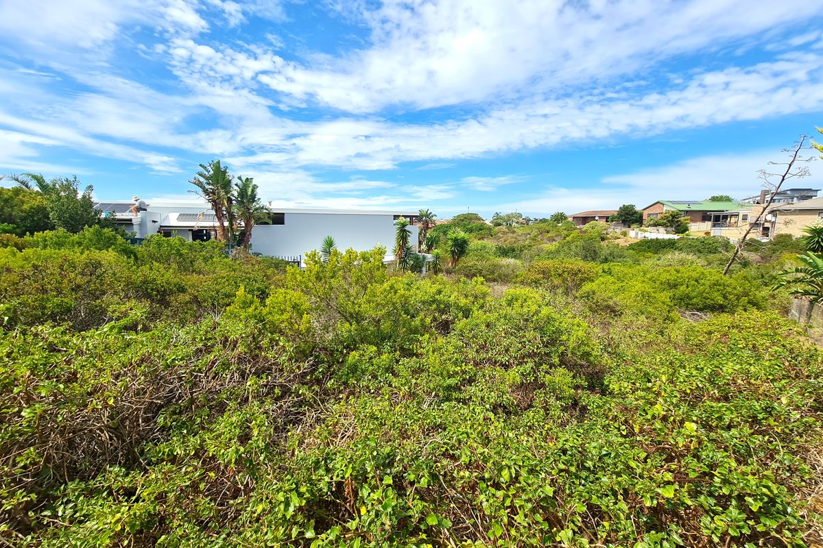 A view of a vacant residential plot covered in dense native vegetation, with neighboring properties visible in the background.