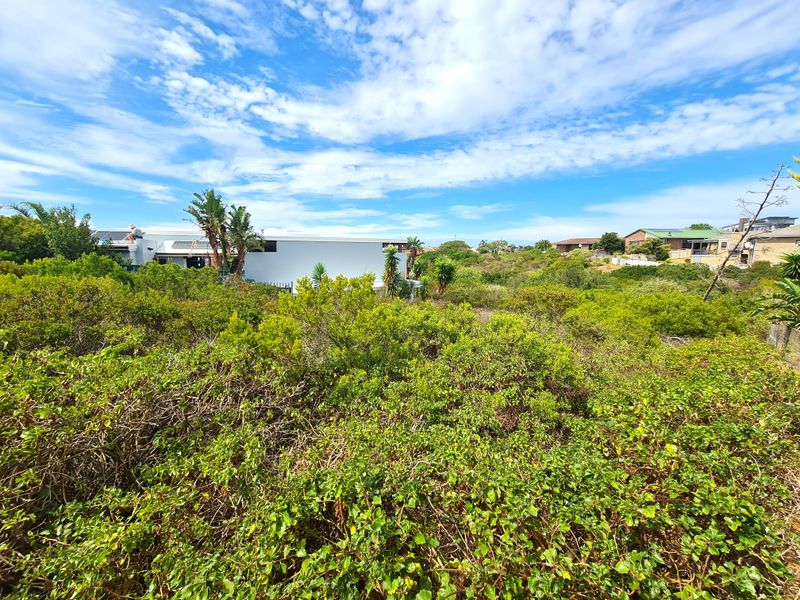 Well-priced Vacant Stand on a Kloof in Noorsekloof, Jeffreys Bay - Photo 6