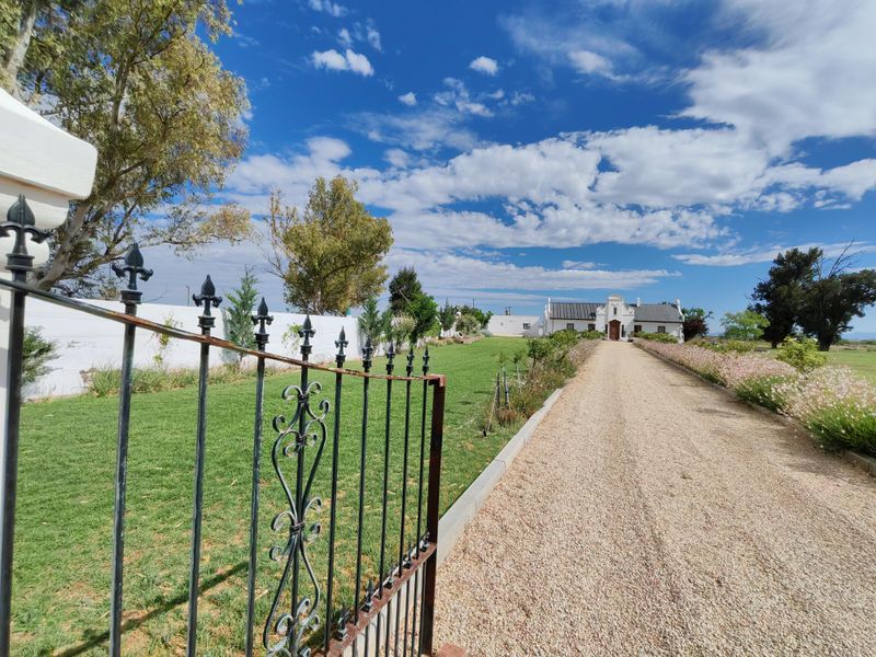 4765 Ha Sheep Farm Situated between Steynsburg and Hofmeyr - Photo 5