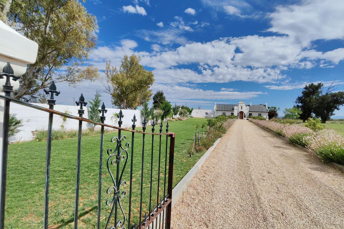 4765 Ha Sheep Farm Situated between Steynsburg and Hofmeyr - Photo 5