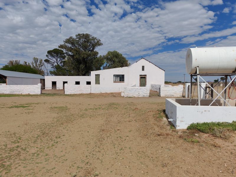 4765 Ha Sheep Farm Situated between Steynsburg and Hofmeyr - Photo 10