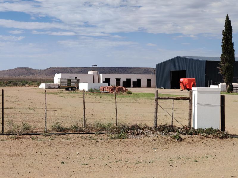 4765 Ha Sheep Farm Situated between Steynsburg and Hofmeyr - Photo 8