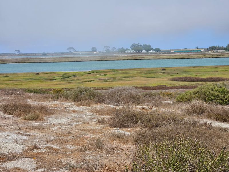 Build Your Dream on Exclusive Admiral Island - Photo 6