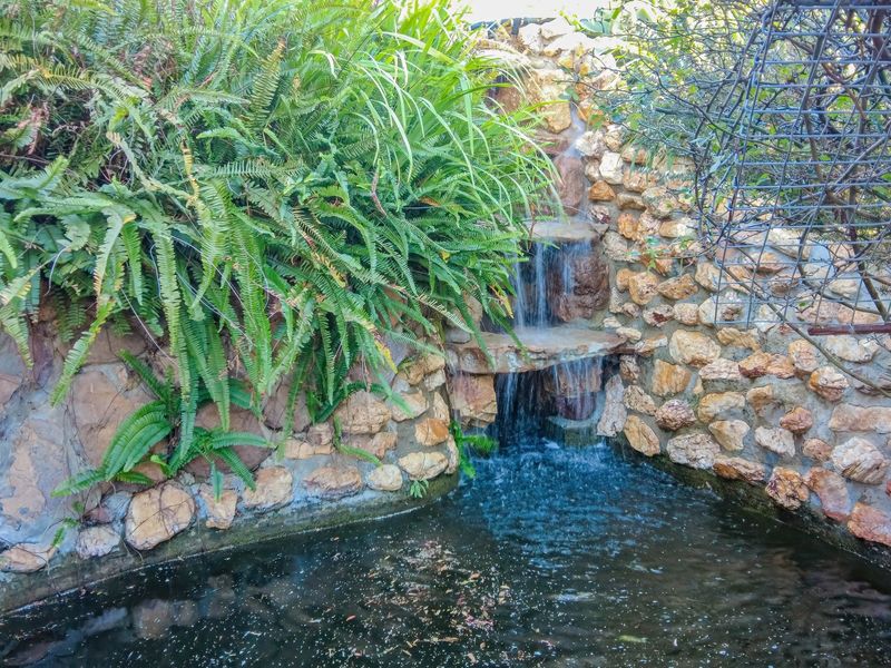 A landscaped garden area featuring a stone-built water feature with a tiered waterfall cascading into a small pond.