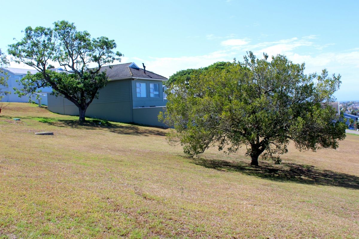 A view of the rear section of the residential vacant land, featuring established trees and a gentle slope.