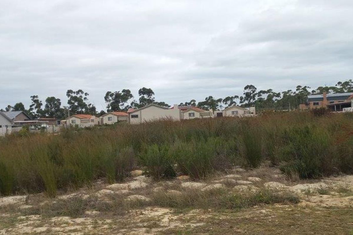 Vacant Land Residential For Sale In Albertinia - Photo 3